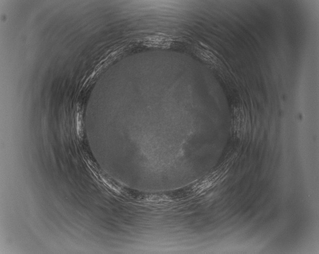 X0000054411154200508011314