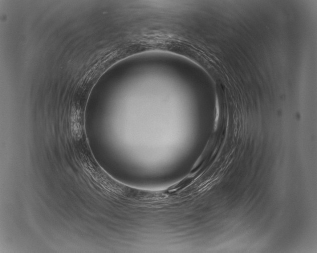 X0000054411156200508011314