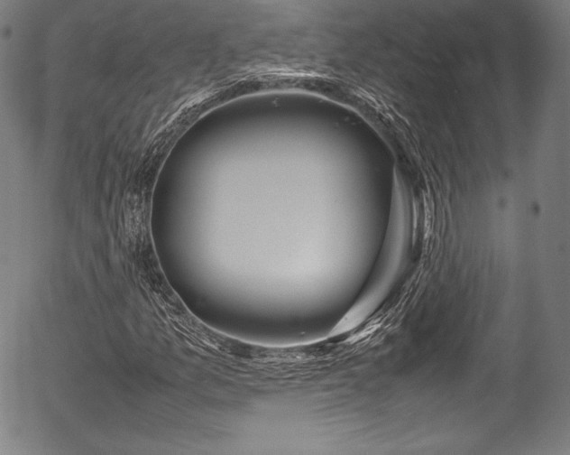X0000054411157200508011314