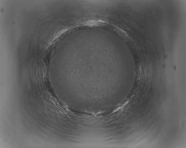 X0000054411158200508011314