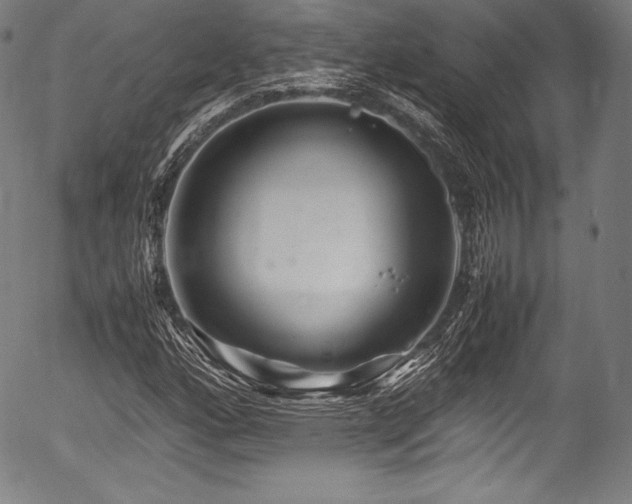 X0000054411160200508011314