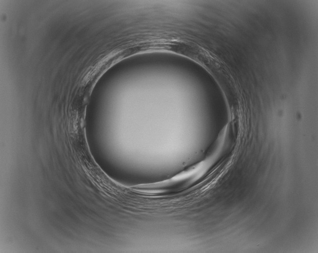 X0000054411161200508011314