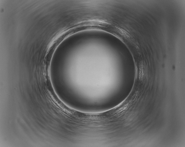 X0000054411164200508011314