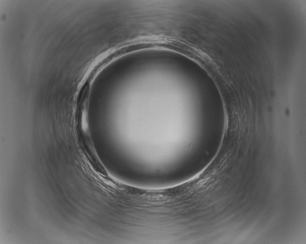 X0000054411168200508011314