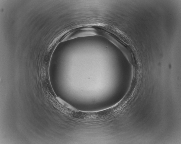 X0000054411169200508011314