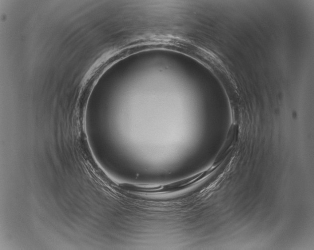 X0000054411172200508011314