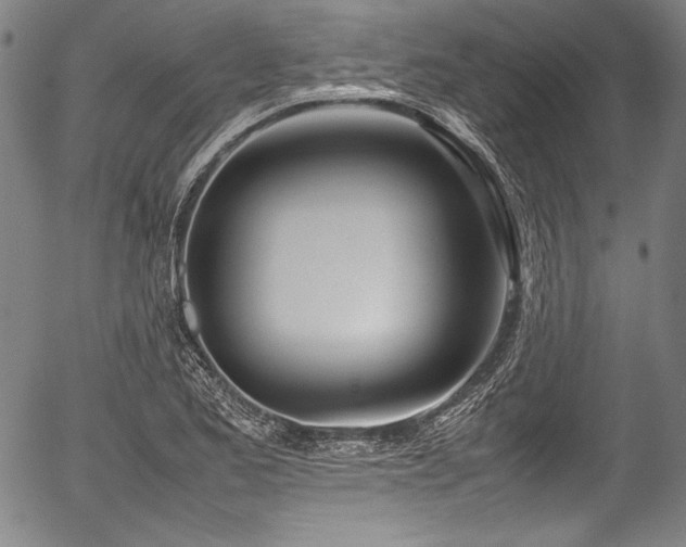 X0000054411173200508011314