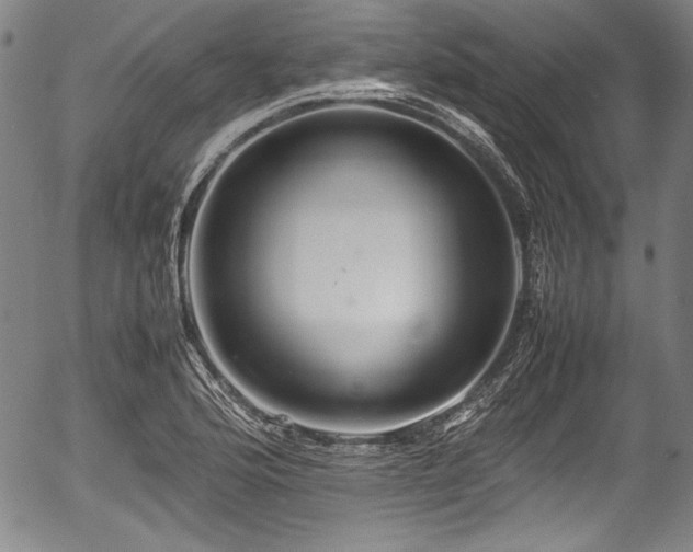 X0000054411176200508011314
