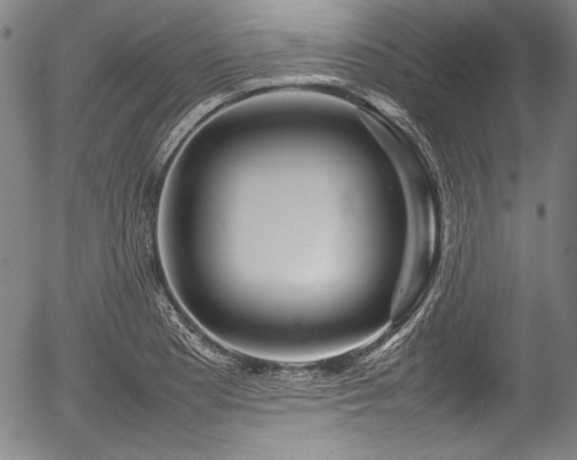 X0000054411177200508011314