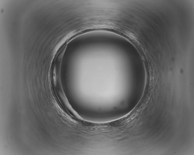 X0000054411181200508011314