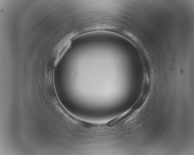 X0000054411185200508011314