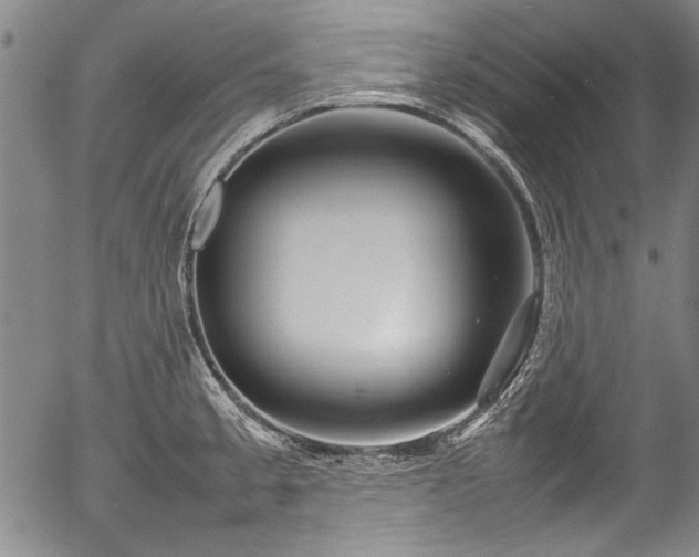X0000054411189200508011314