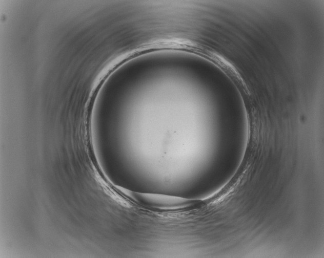X0000054411192200508011314