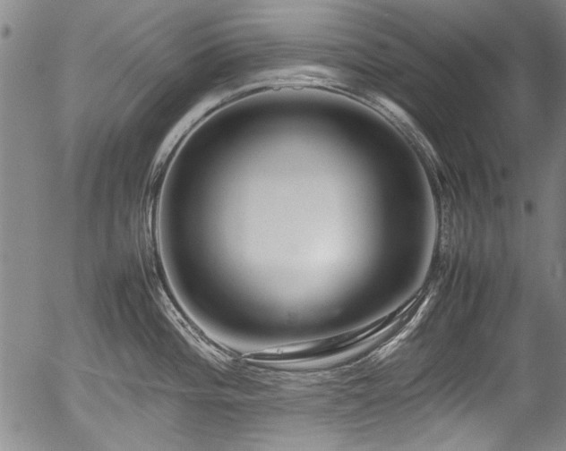 X0000054411196200508011314