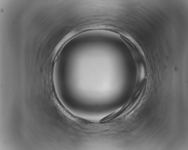 X0000054411197200508011314