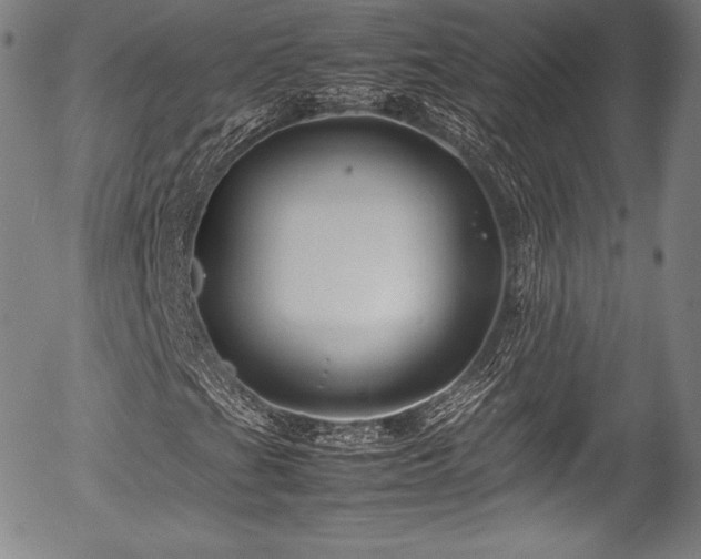 X0000054411201200508011313