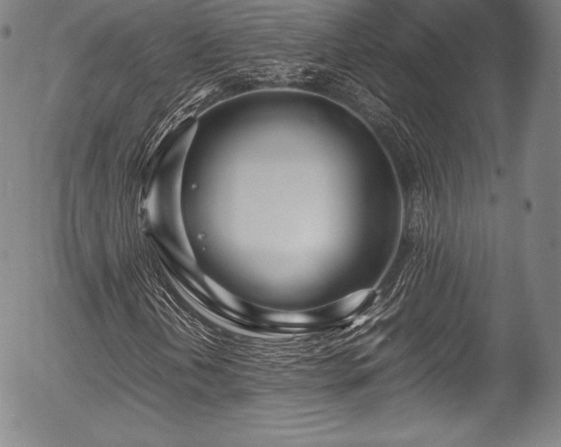 X0000054411202200508011313