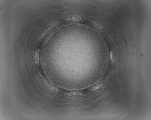 X0000054411203200508011313
