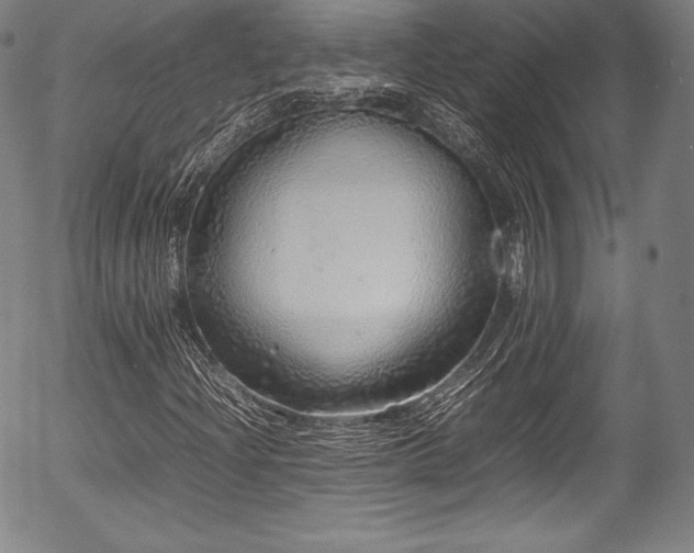 X0000054411204200508011313
