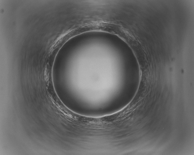 X0000054411206200508011313