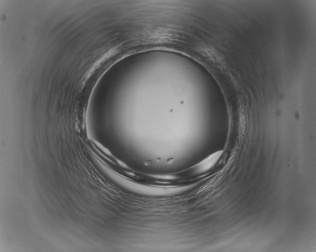 X0000054411210200508011313