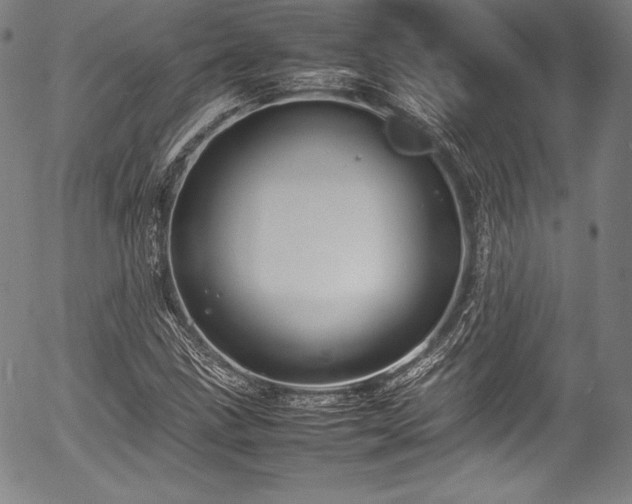 X0000054411211200508011313