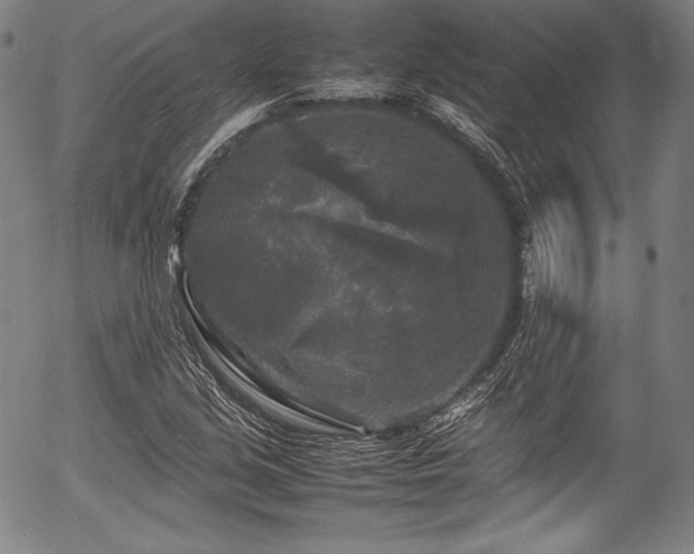 X0000054411213200508011313