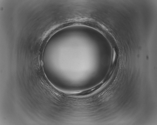 X0000054411214200508011313