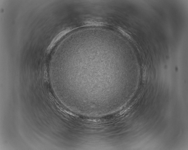 X0000054411215200508011313