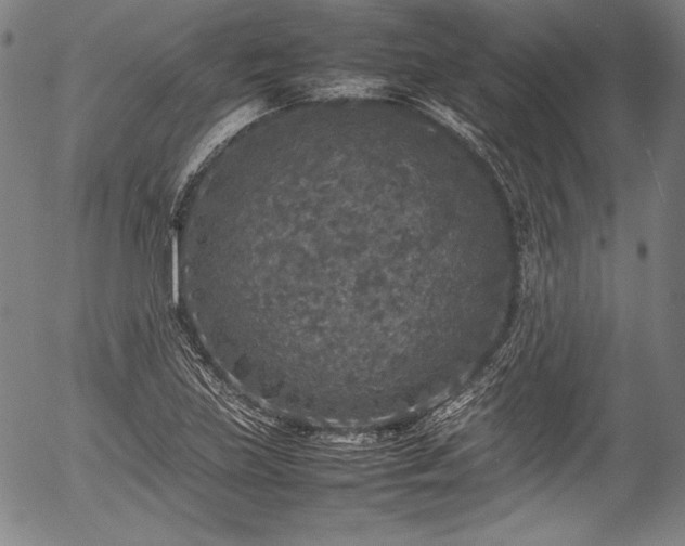 X0000054411219200508011313