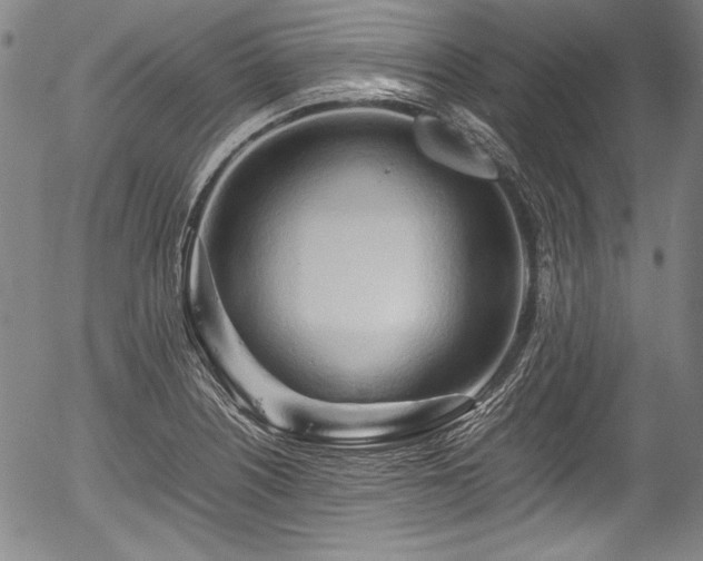 X0000054411226200508011313