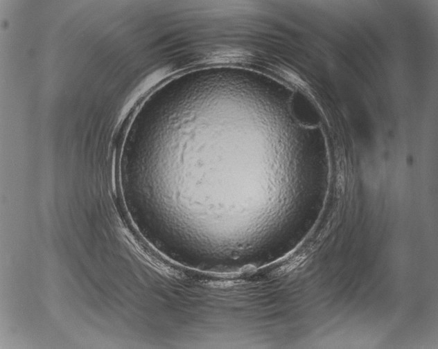 X0000054411227200508011313