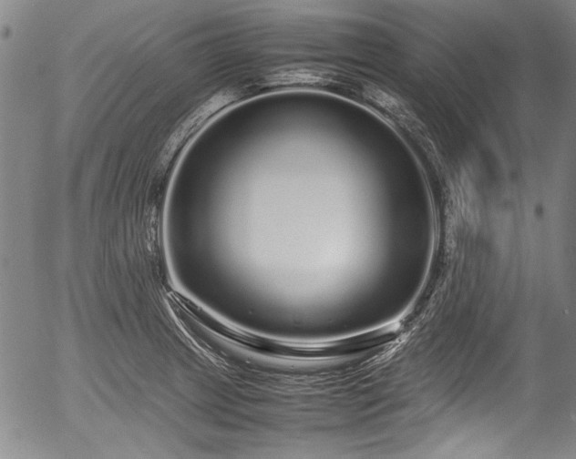 X0000054411233200508011313