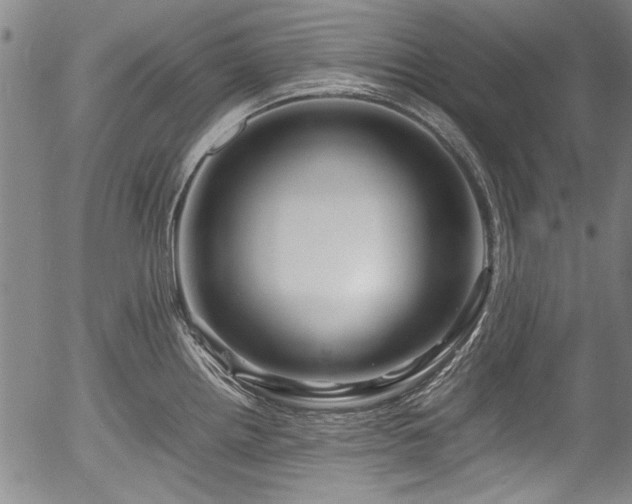 X0000054411242200508011313