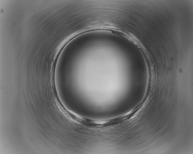 X0000054411246200508011313