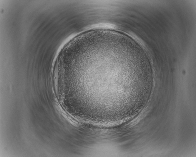 X0000054411248200508011313
