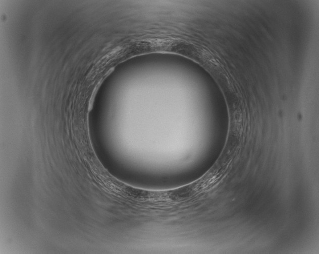X0000054411249200508011313