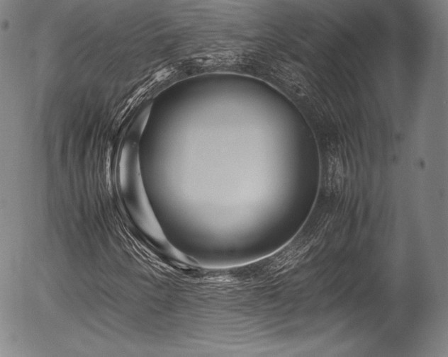 X0000054411250200508011313