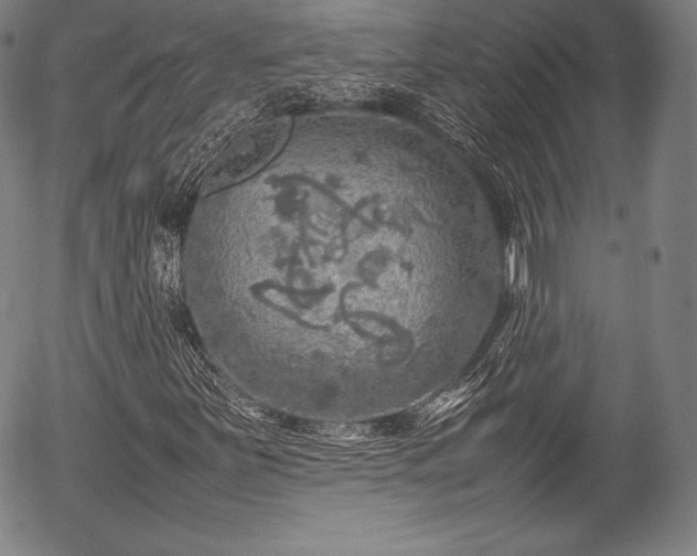 X0000054411251200508011313