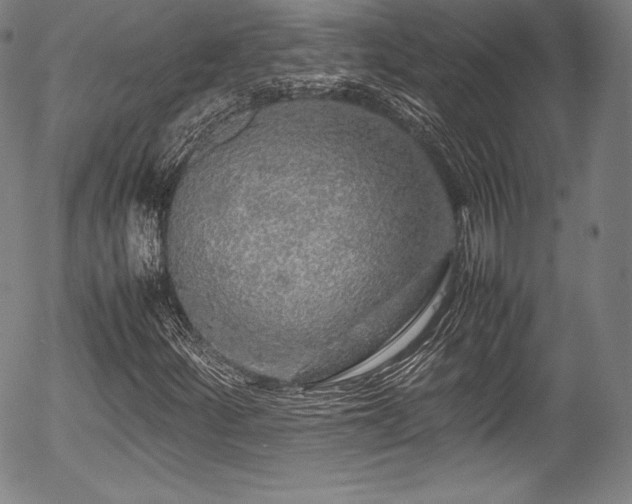 X0000054411252200508011313