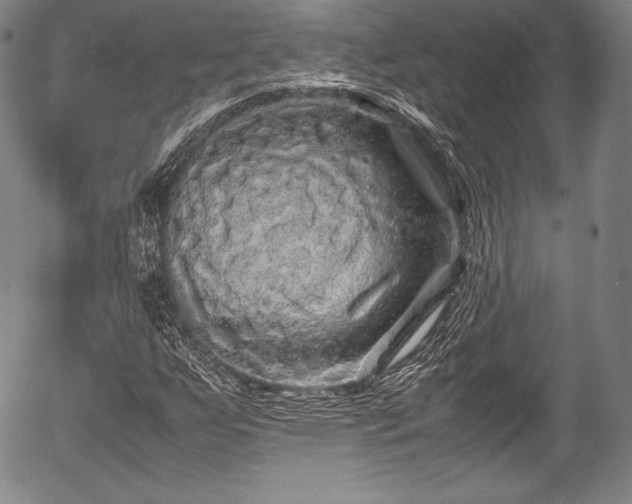 X0000054411255200508011313