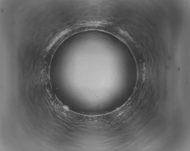 X0000054411256200508011313