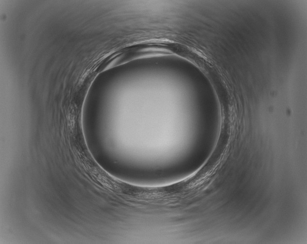 X0000054411257200508011313