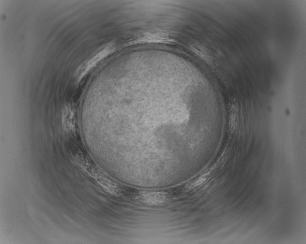 X0000054411258200508011313