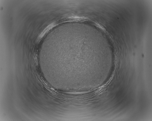 X0000054411259200508011312