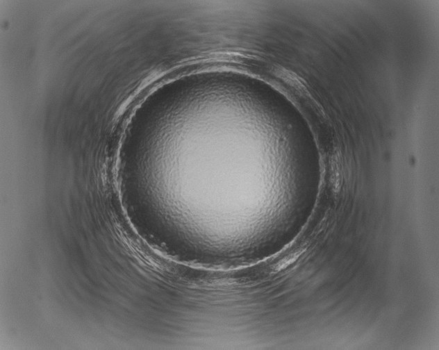 X0000054411260200508011312