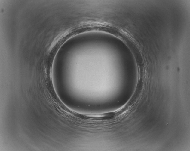 X0000054411261200508011312