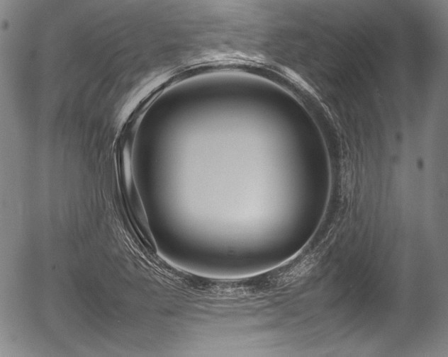 X0000054411269200508011312