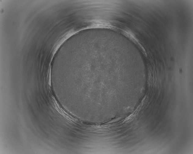 X0000054411276200508011312