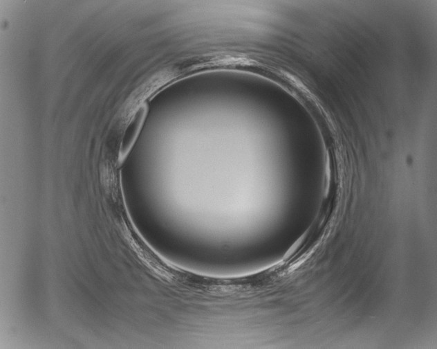 X0000054411281200508011312